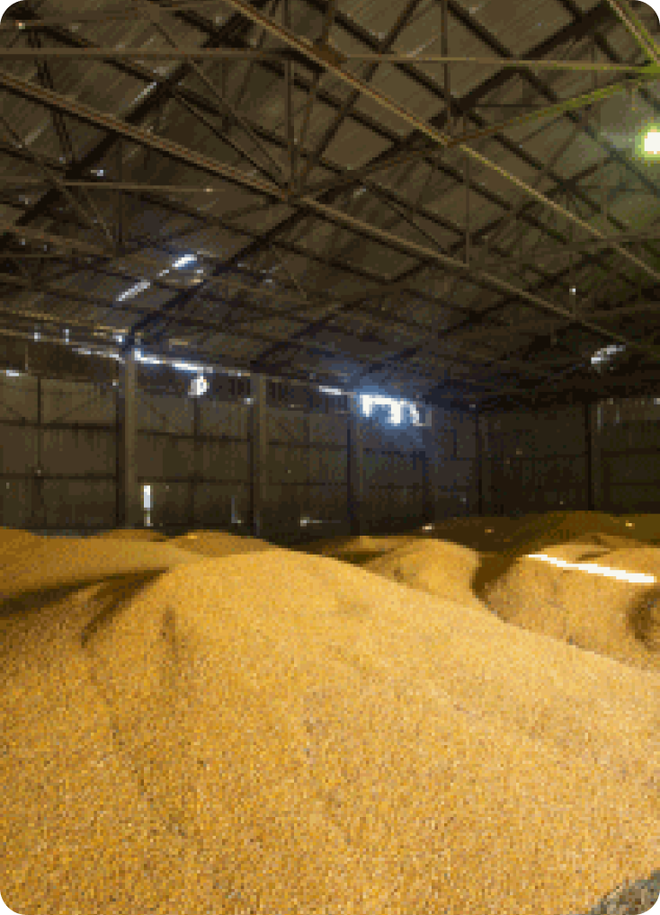 InstaGrain X measures quality across grains, pulses, oilseeds, millets and spices
